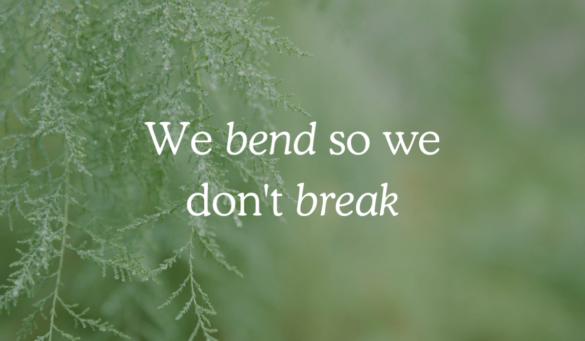 Resilienz - Blogbeitrag